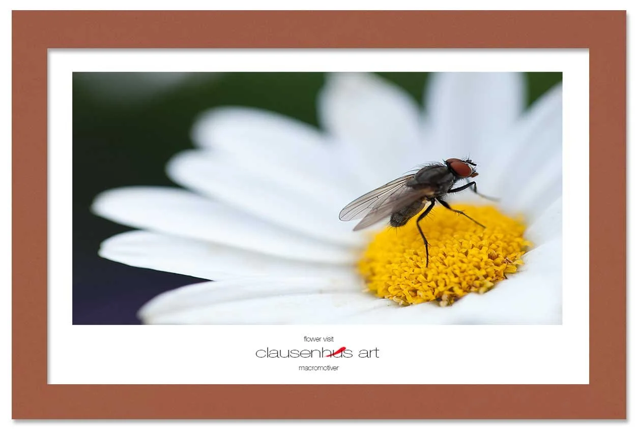 flower-visit-copy.jpg