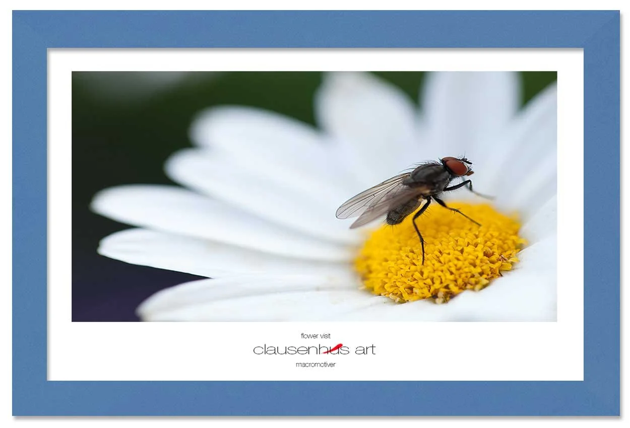 flower-visit-copy.jpg