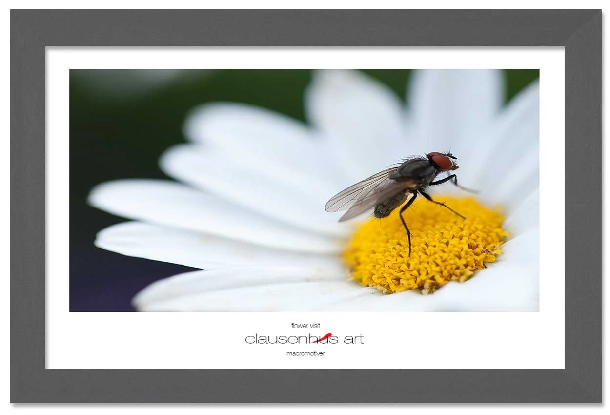 flower-visit-copy.jpg