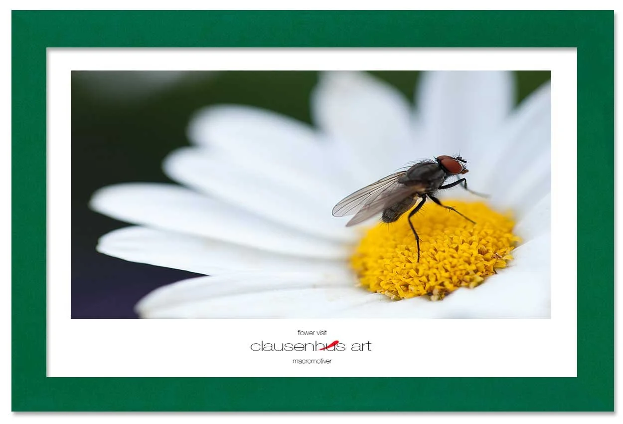 flower-visit-copy.jpg