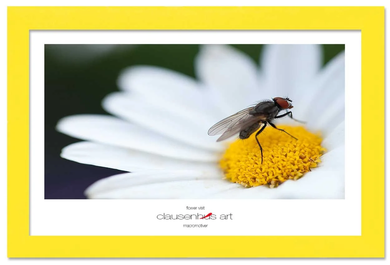 flower-visit-copy.jpg