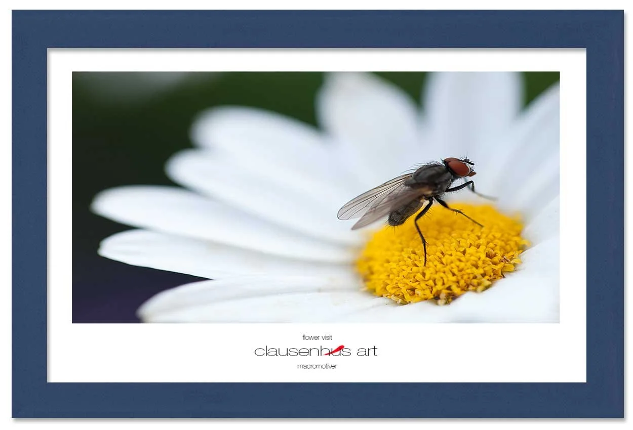 flower-visit-copy.jpg