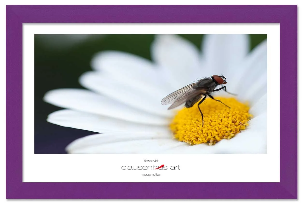 flower-visit-copy.jpg