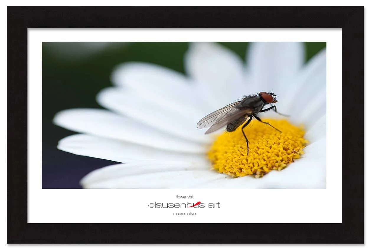flower-visit-copy.jpg