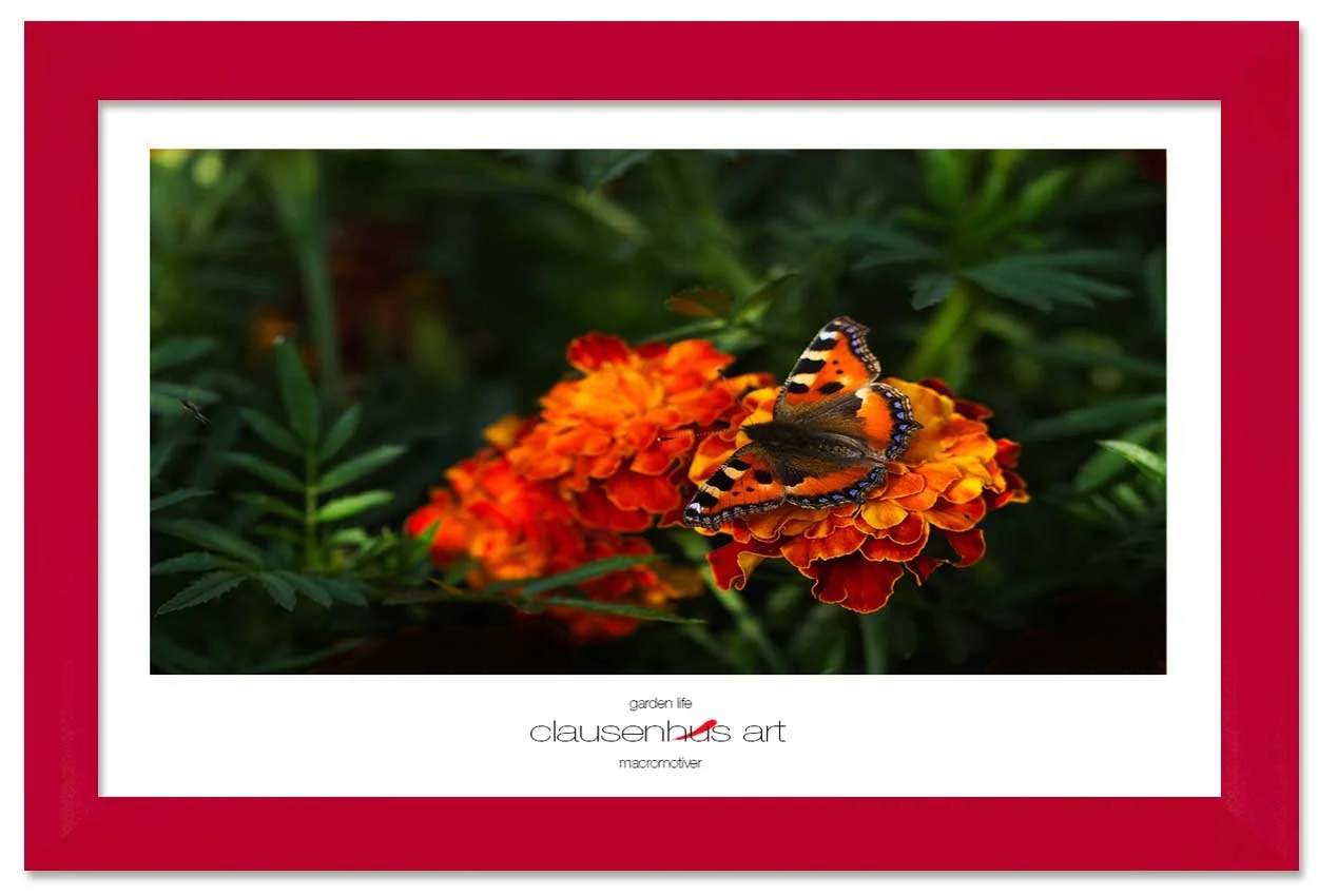 garden-life-copy.jpg