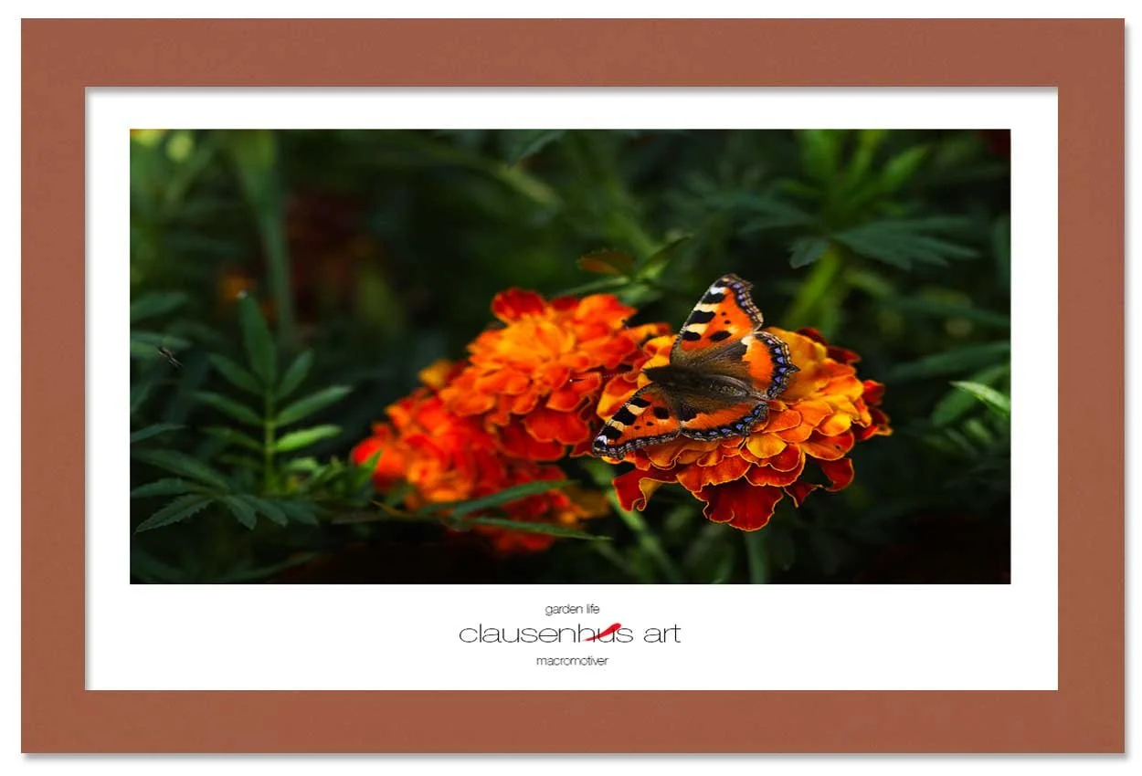garden-life-copy.jpg
