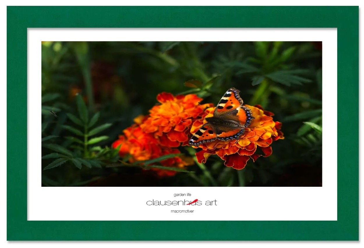 garden-life-copy.jpg