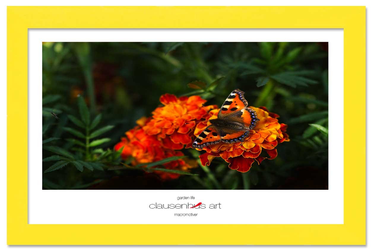 garden-life-copy.jpg
