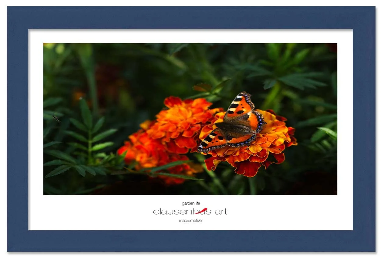 garden-life-copy.jpg