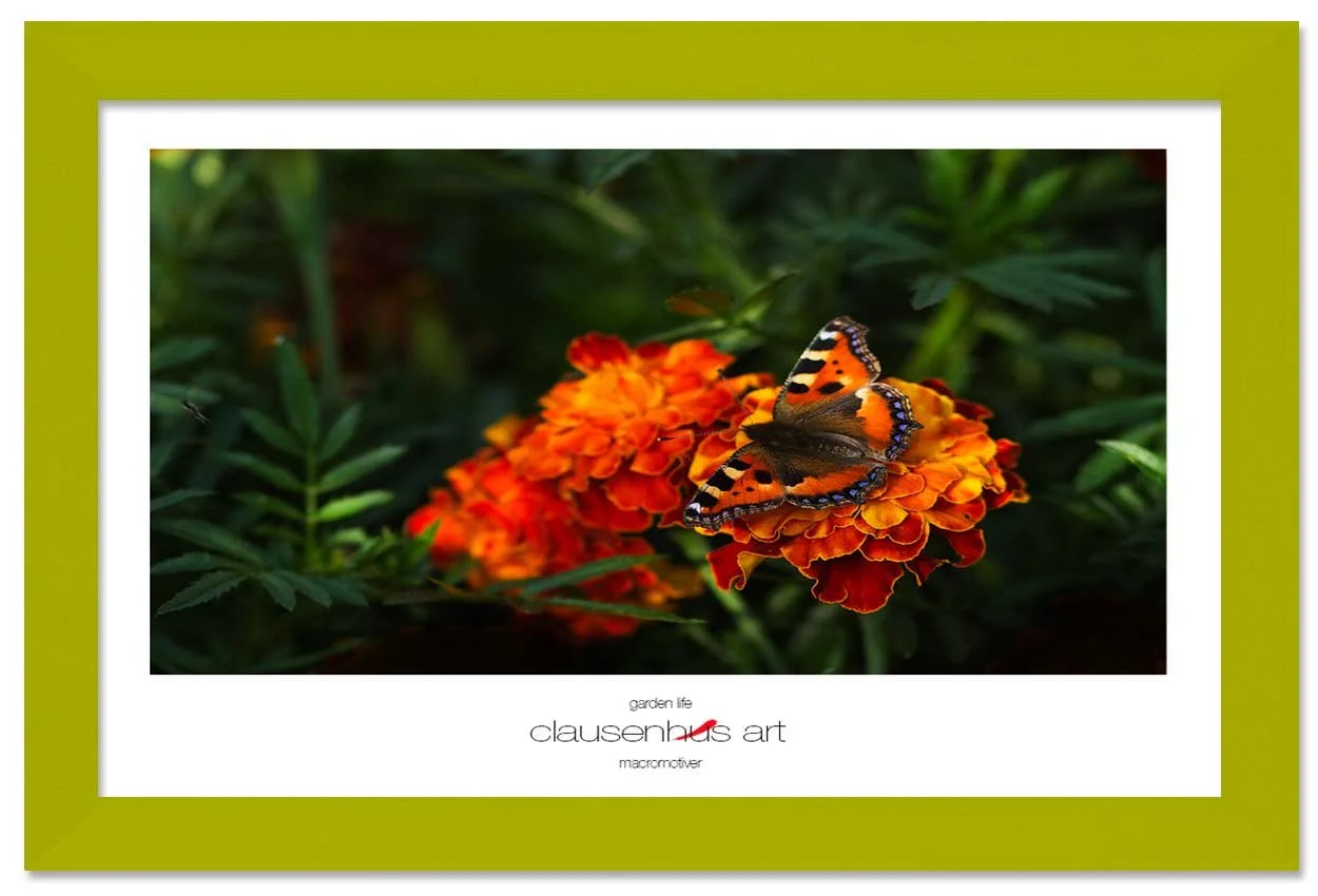 garden-life-copy.jpg
