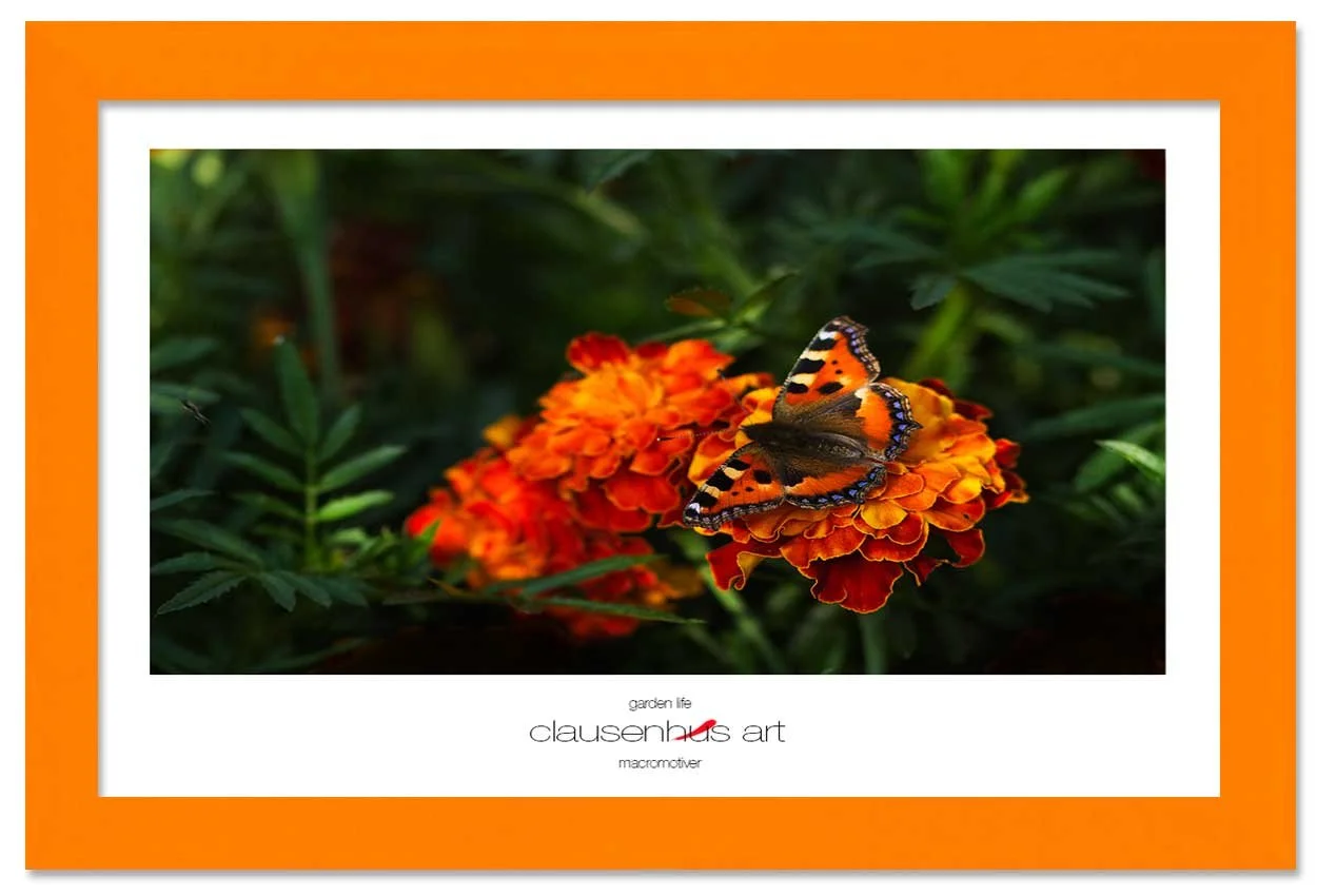 garden-life-copy.jpg
