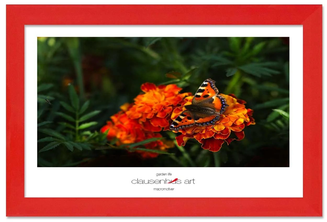 garden-life-copy.jpg