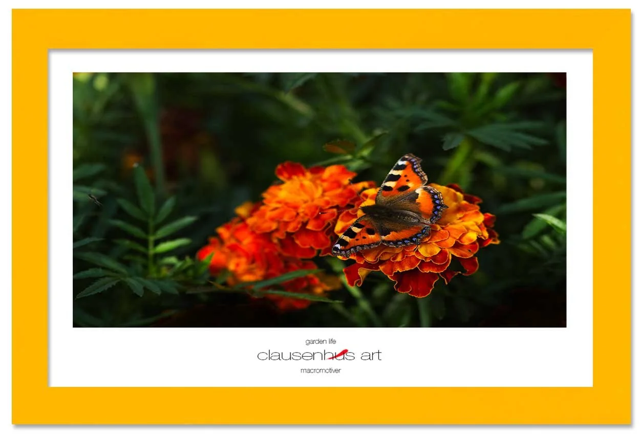 garden-life-copy.jpg