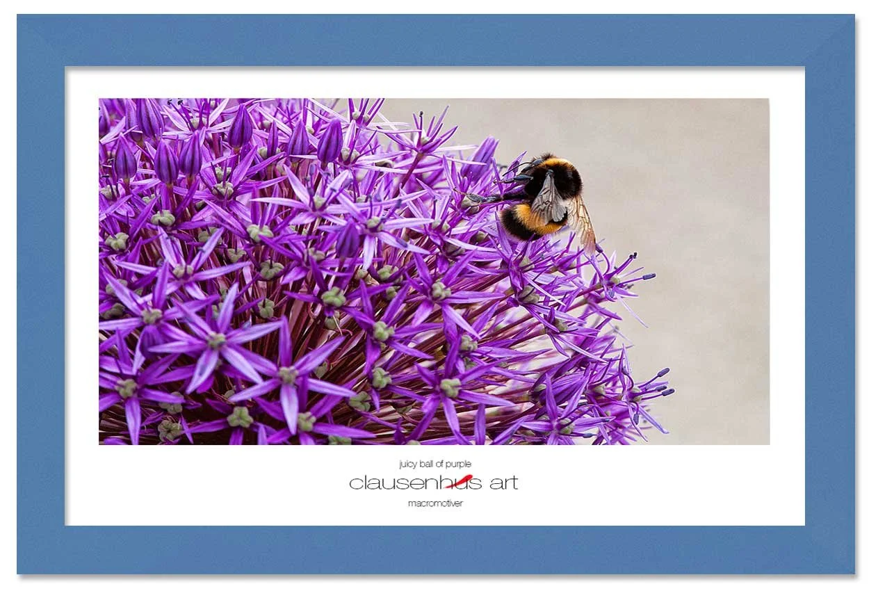 juicy-ball-of-purple-copy.jpg