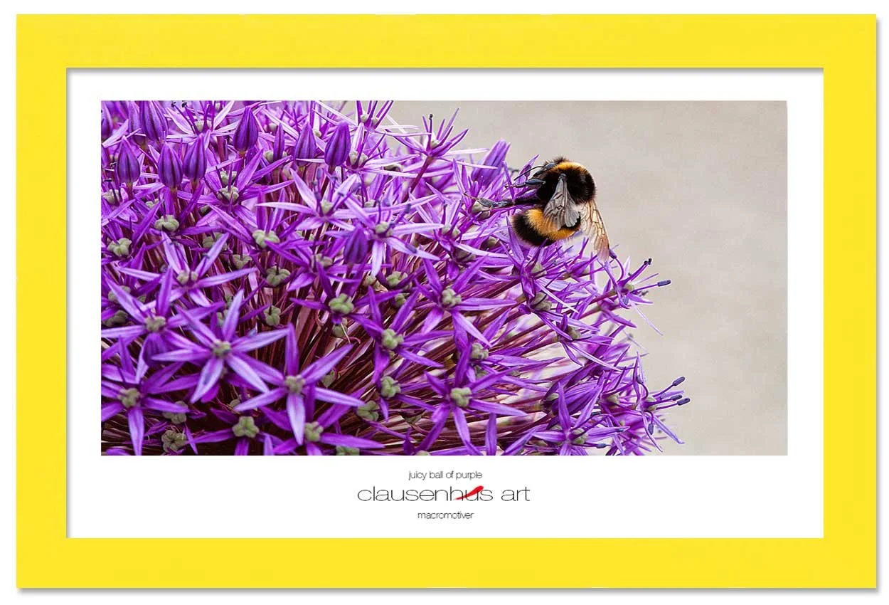 juicy-ball-of-purple-copy.jpg