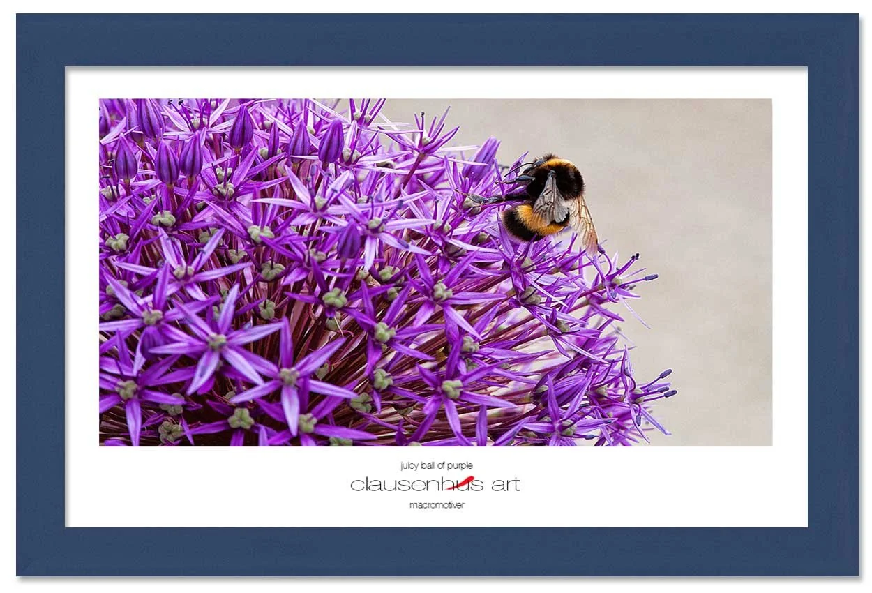 juicy-ball-of-purple-copy.jpg
