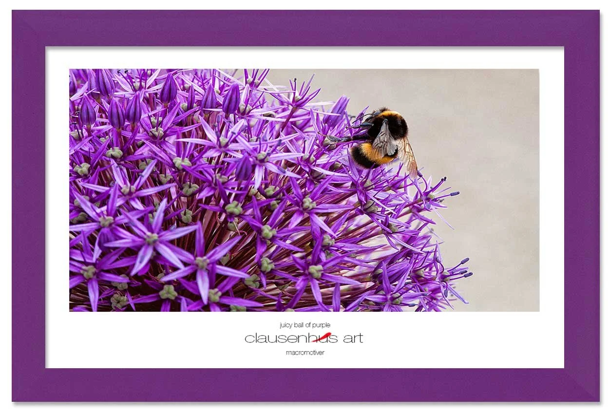 juicy-ball-of-purple-copy.jpg