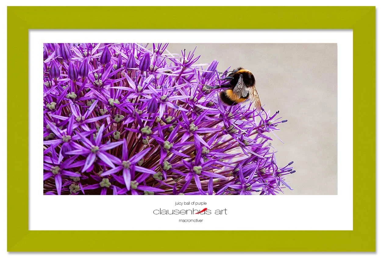 juicy-ball-of-purple-copy.jpg
