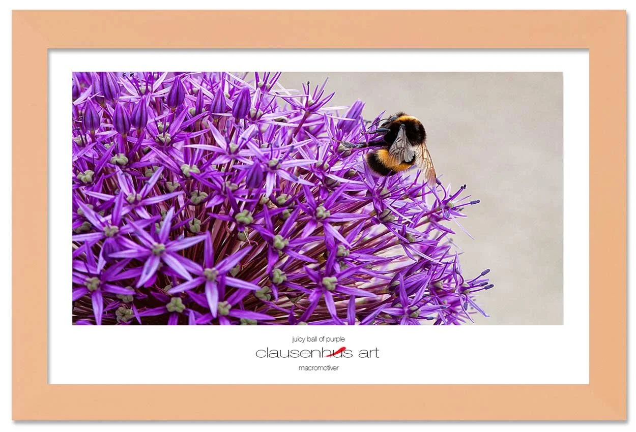 juicy-ball-of-purple-copy.jpg