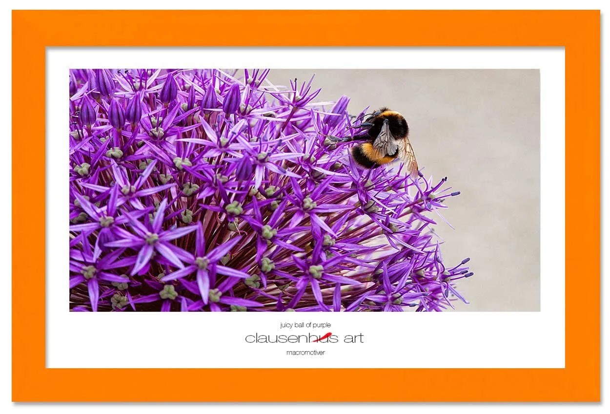 juicy-ball-of-purple-copy.jpg