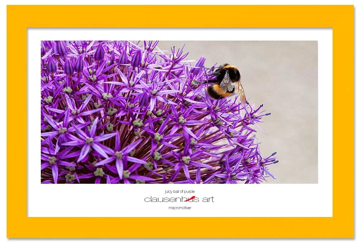 juicy-ball-of-purple-copy.jpg