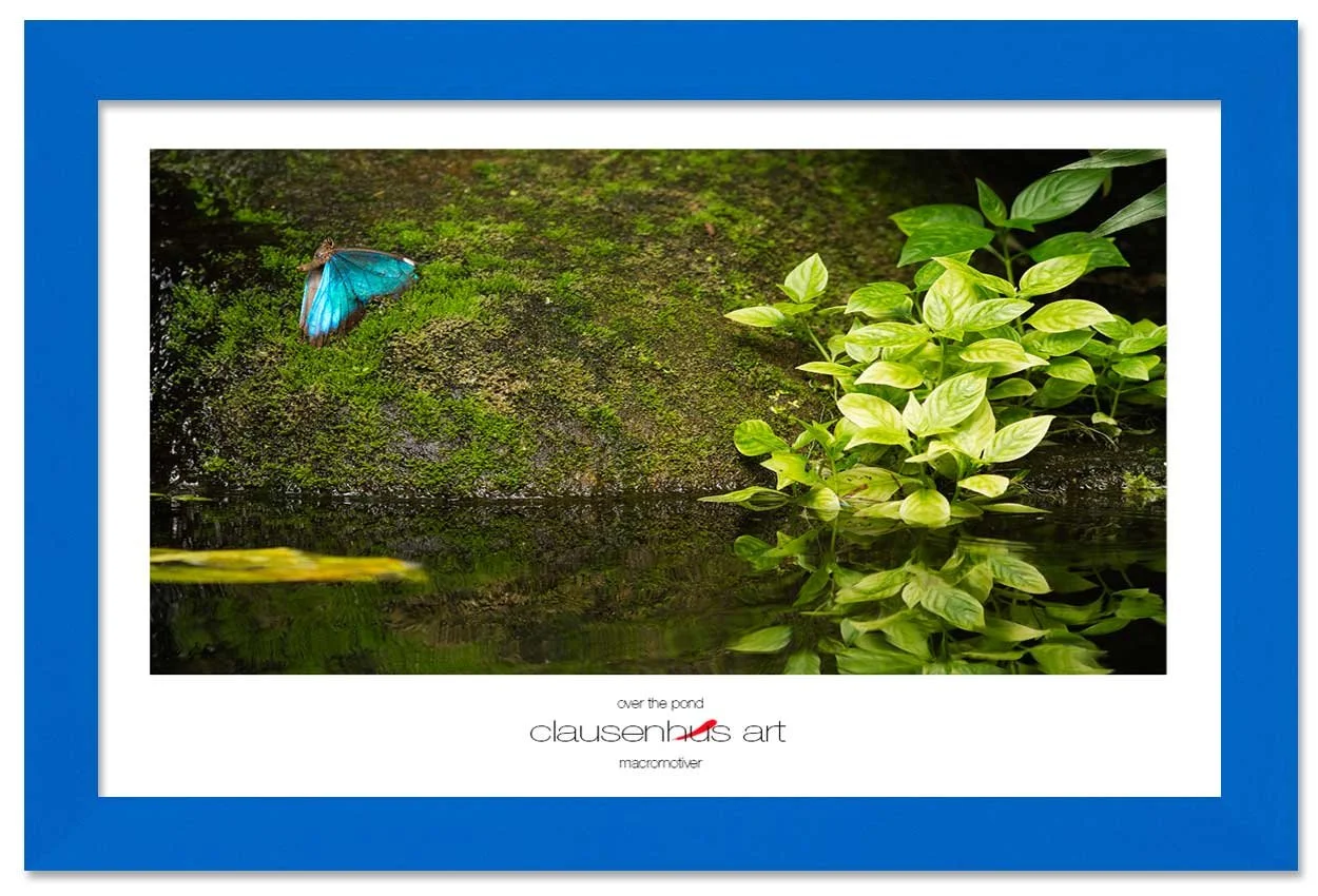 over-the-pond-copy.jpg