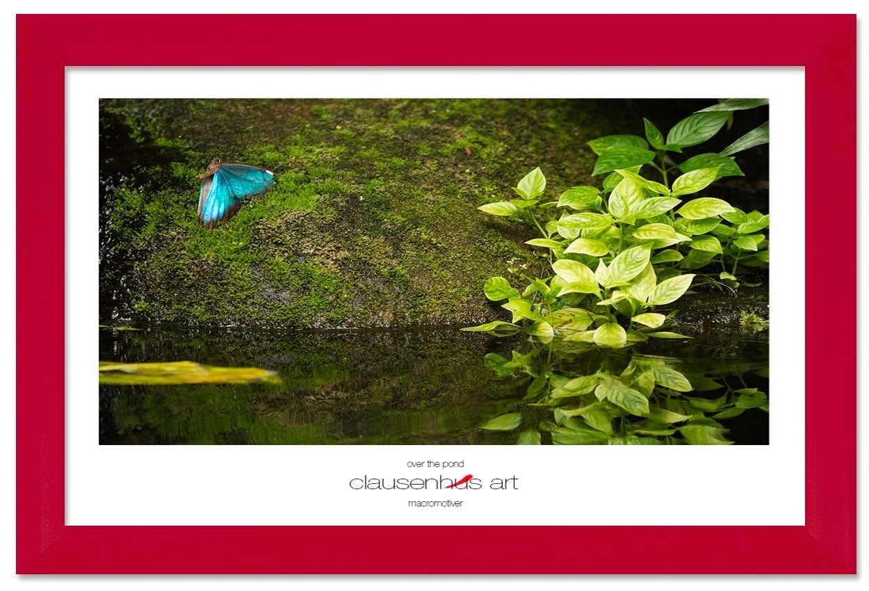 over-the-pond-copy.jpg