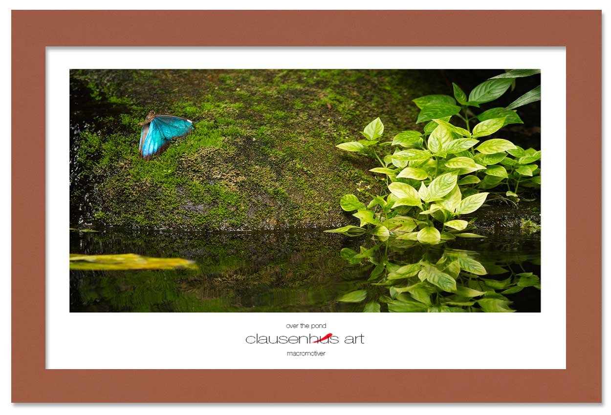over-the-pond-copy.jpg