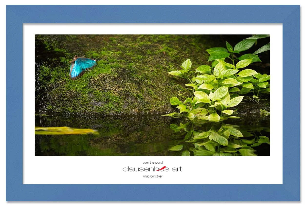 over-the-pond-copy.jpg