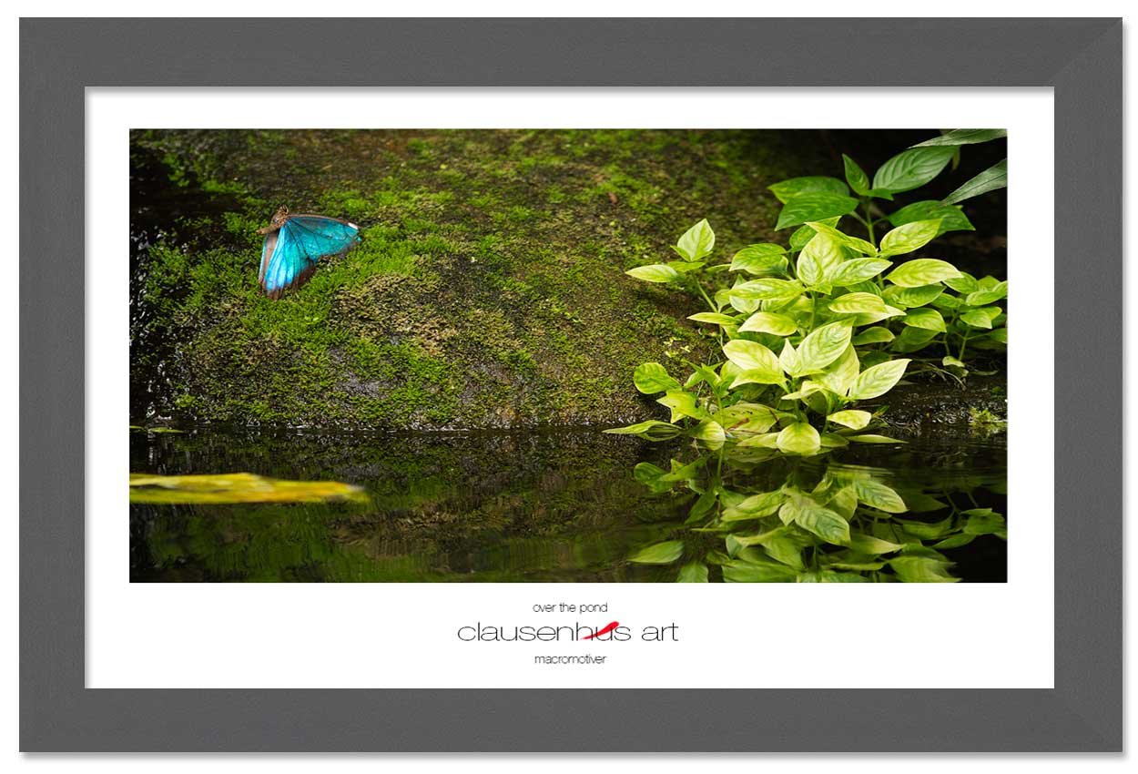 over-the-pond-copy.jpg