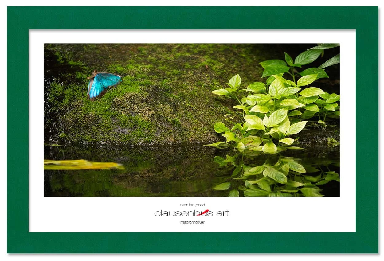 over-the-pond-copy.jpg