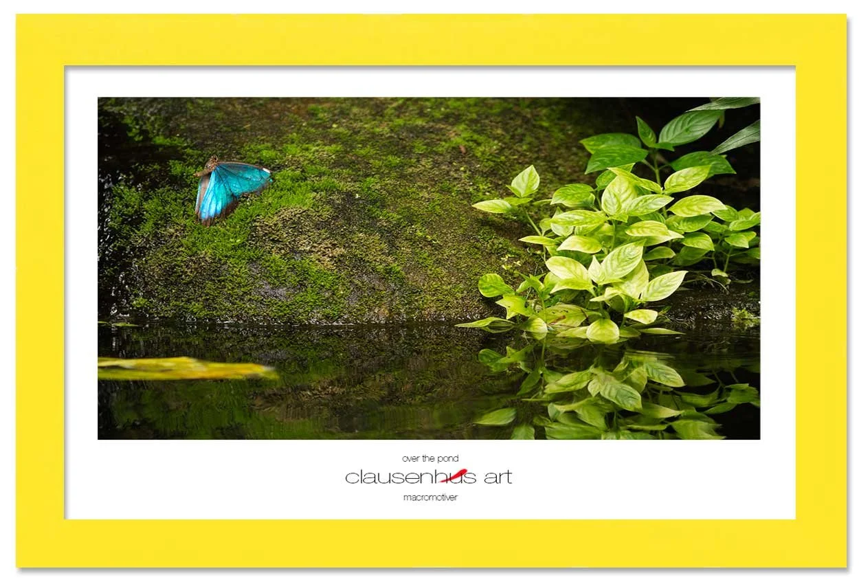 over-the-pond-copy.jpg