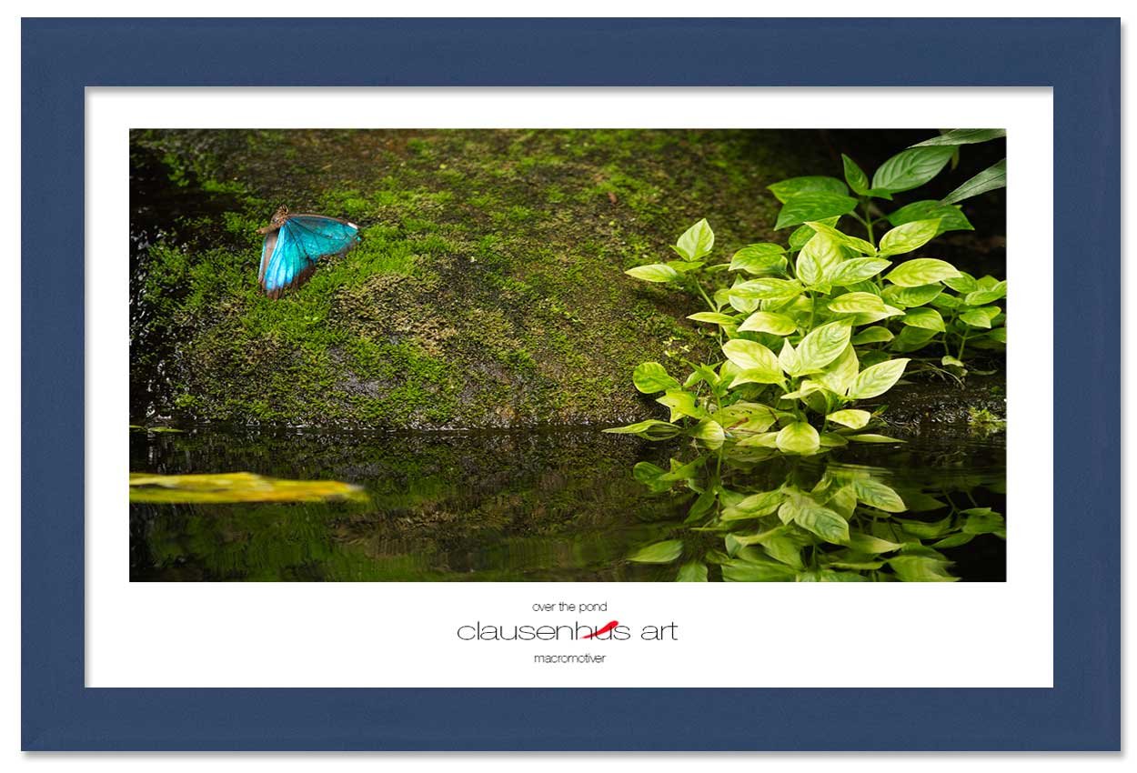 over-the-pond-copy.jpg