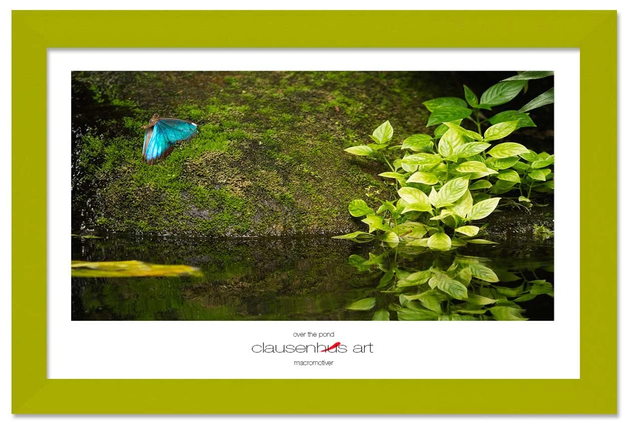 over-the-pond-copy.jpg