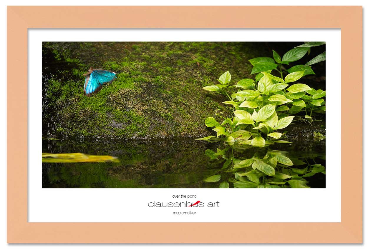 over-the-pond-copy.jpg