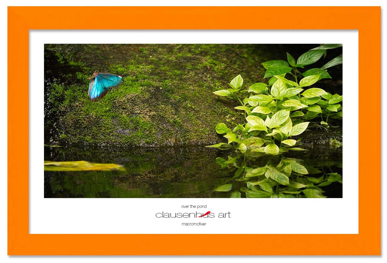 over-the-pond-copy.jpg