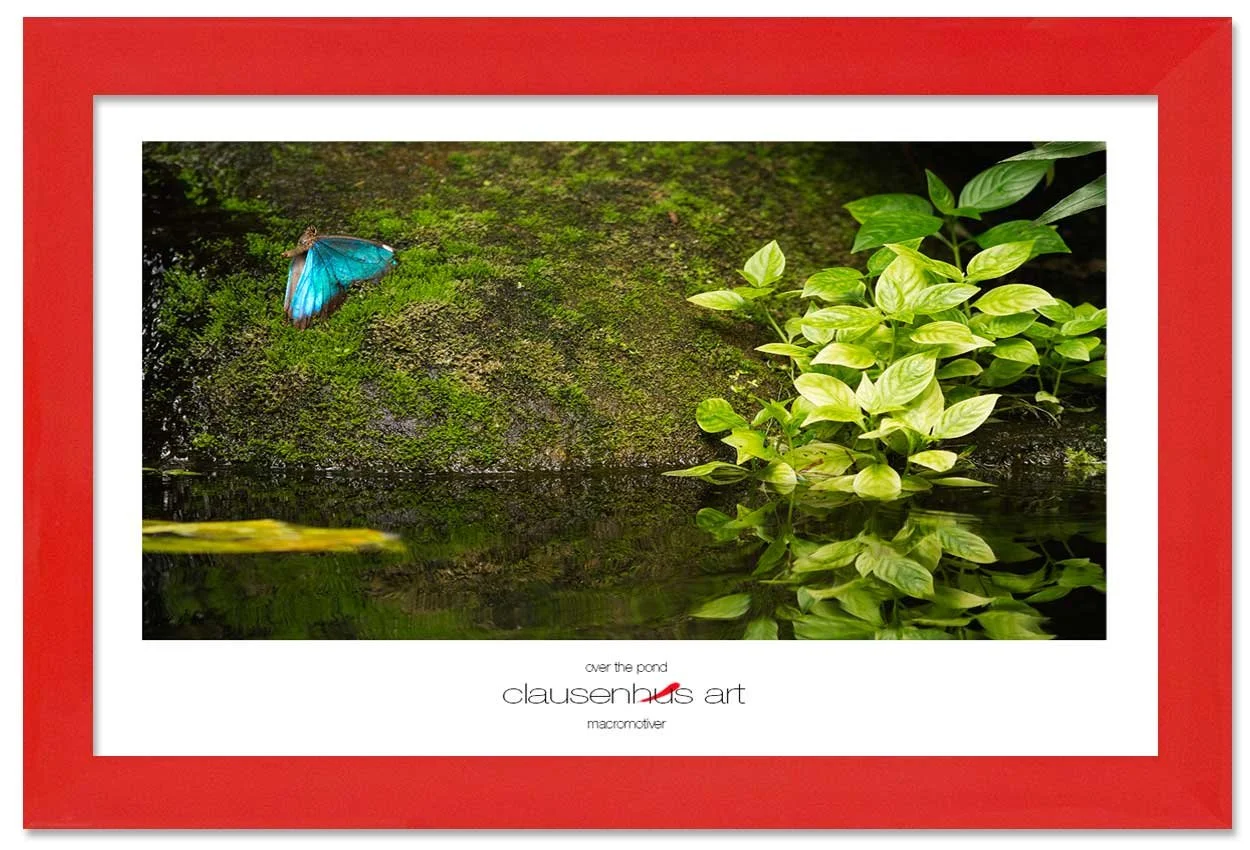 over-the-pond-copy.jpg
