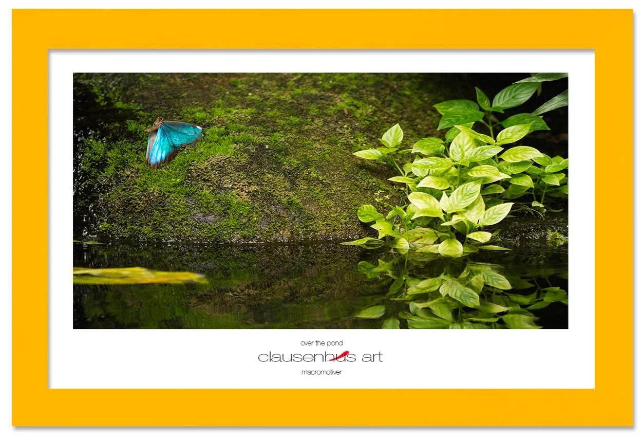 over-the-pond-copy.jpg