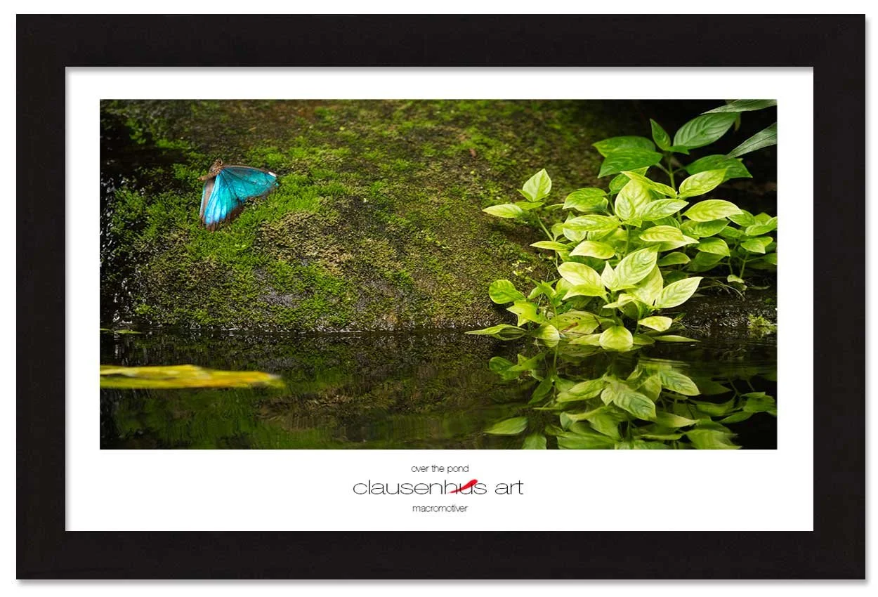 over-the-pond-copy.jpg