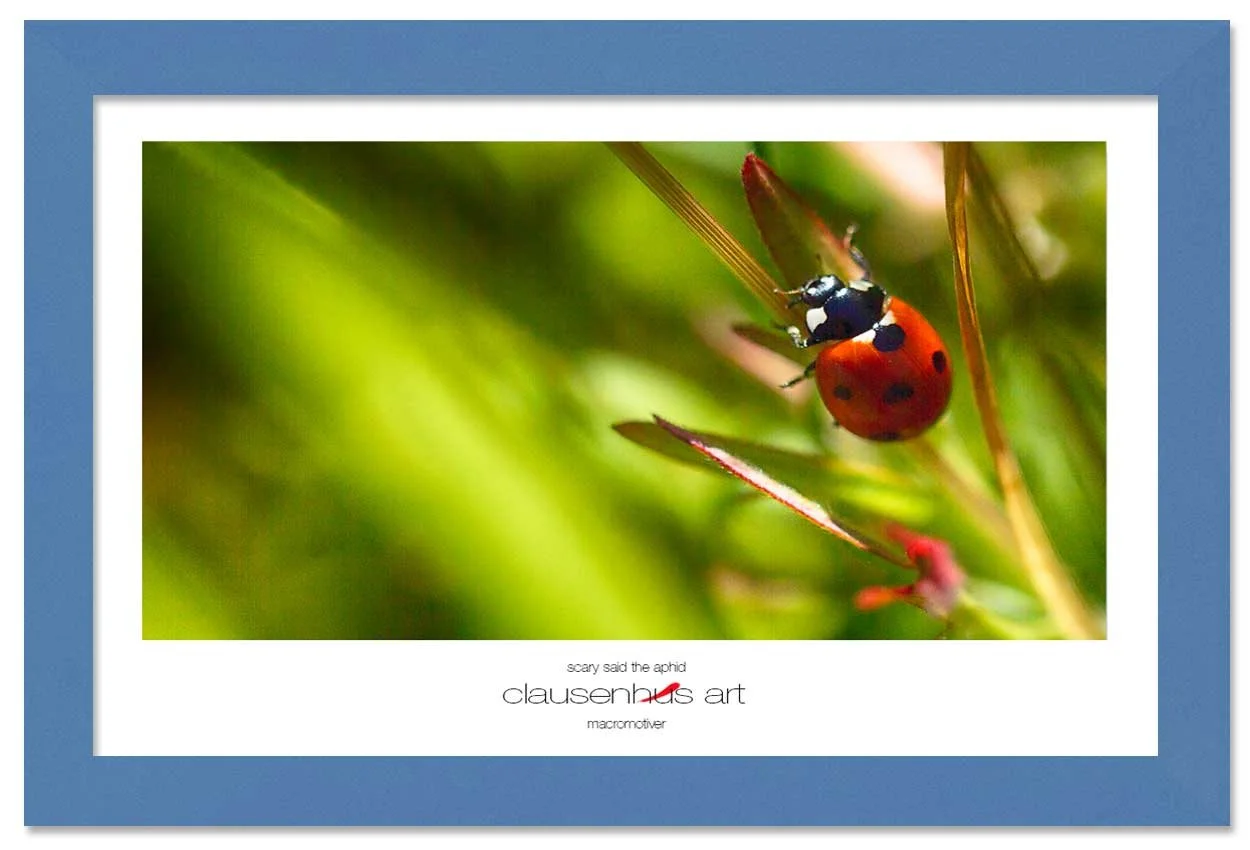 scary-said-the-aphid-copy.jpg