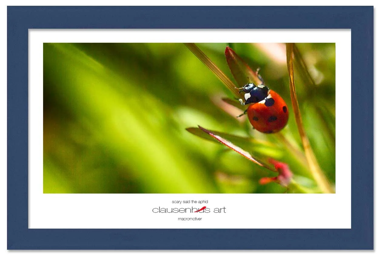 scary-said-the-aphid-copy.jpg