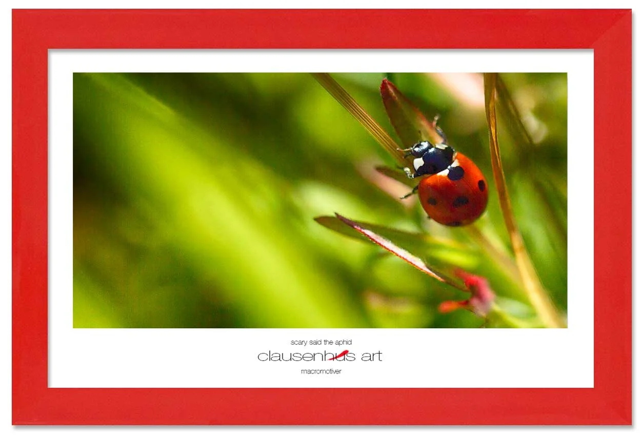 scary-said-the-aphid-copy.jpg