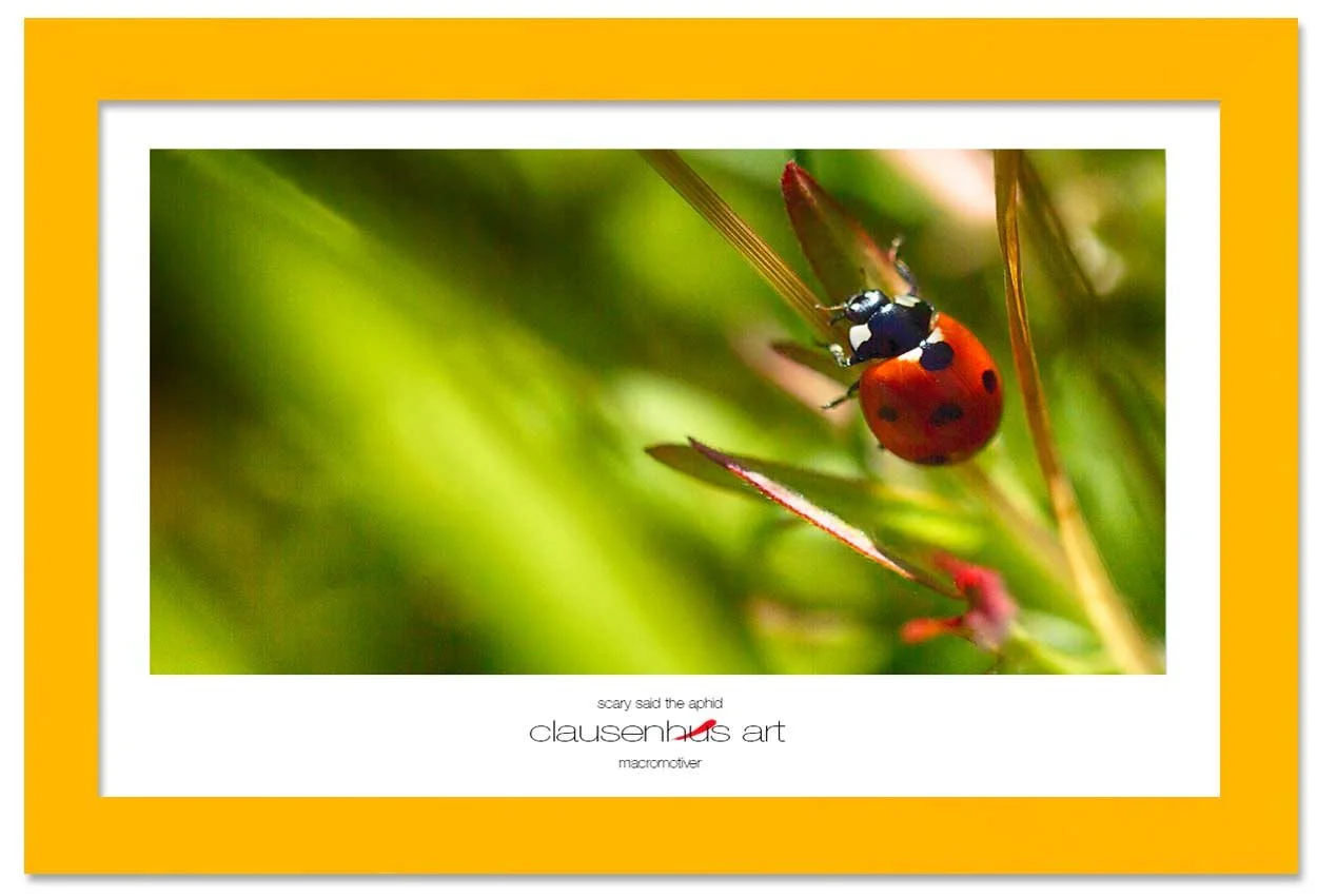 scary-said-the-aphid-copy.jpg