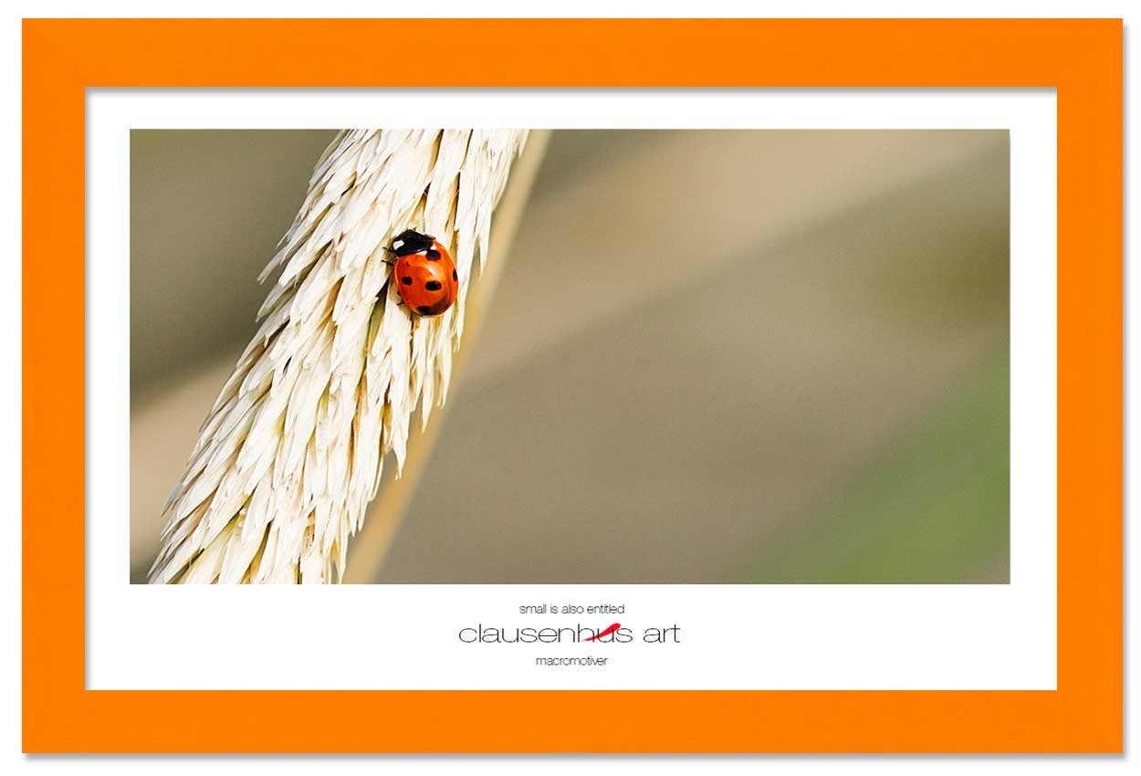 small-is-also-entitled-copy.jpg