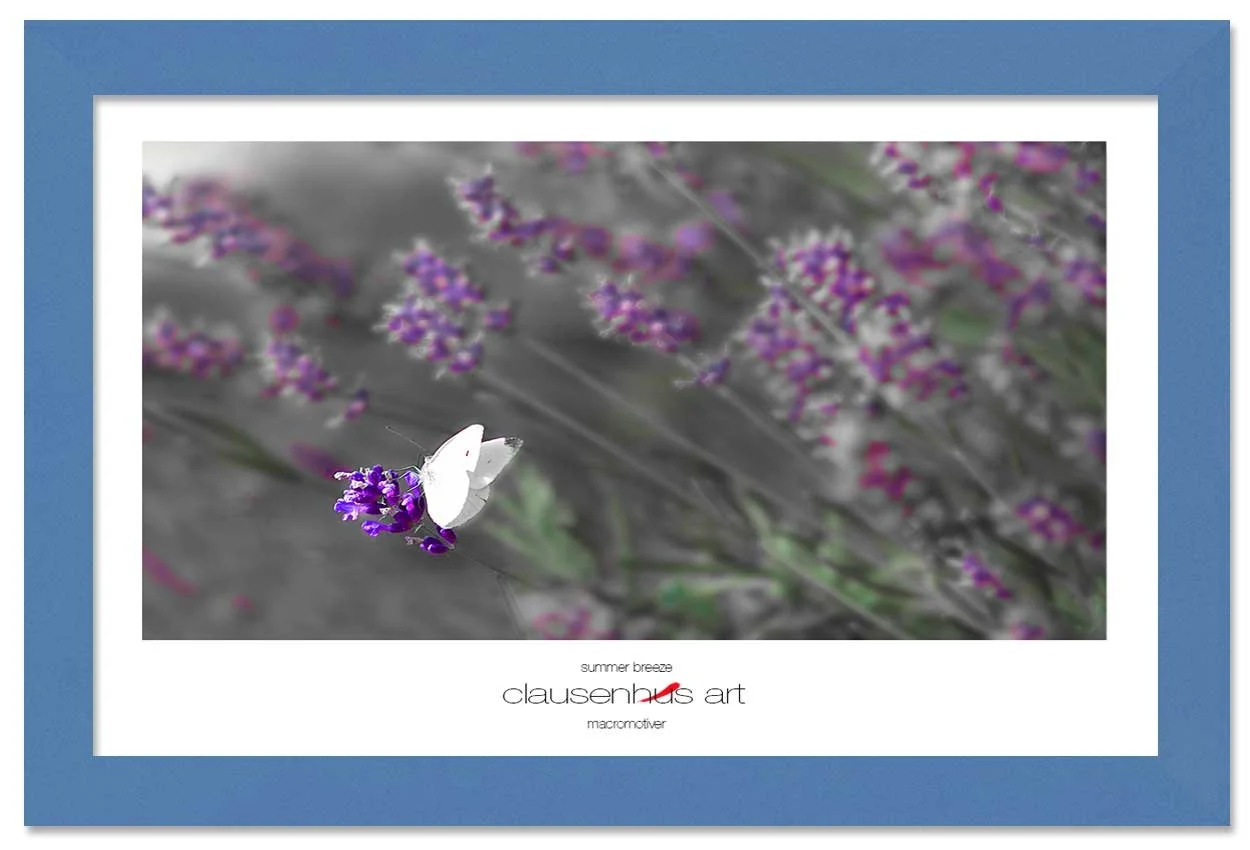 summer-breeze-copy.jpg
