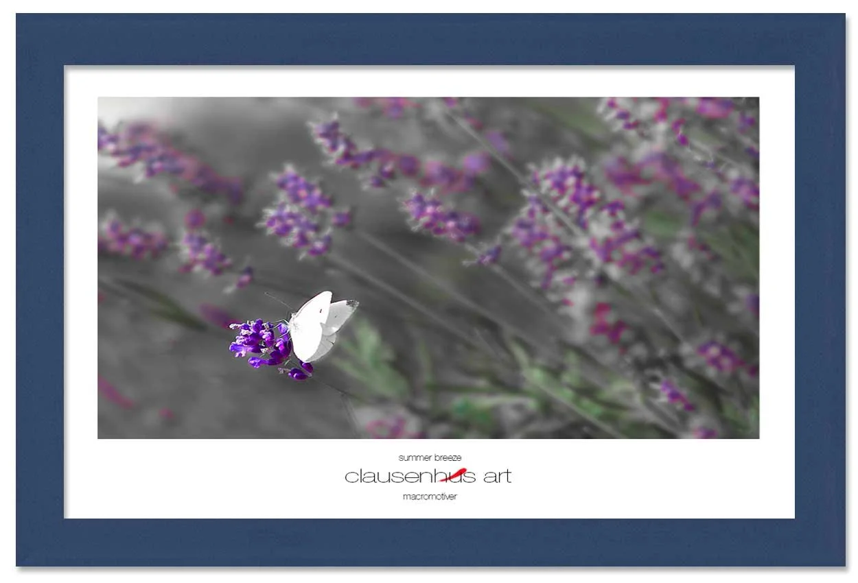 summer-breeze-copy.jpg