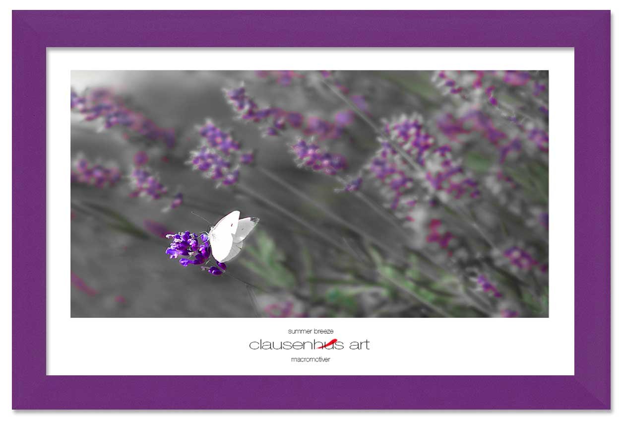 summer-breeze-copy.jpg