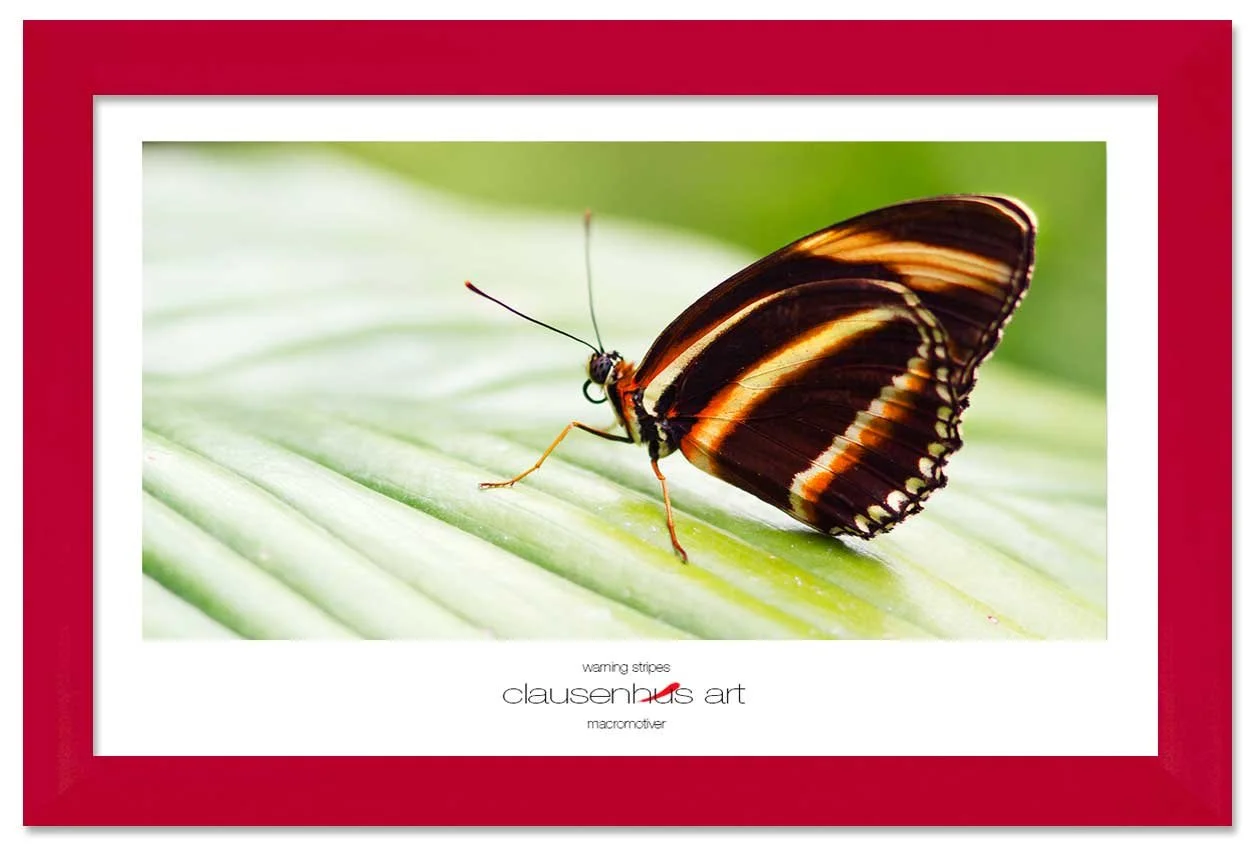 warning-stripes-copy.jpg
