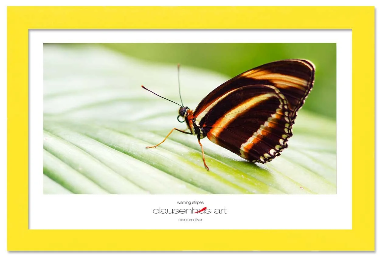 warning-stripes-copy.jpg
