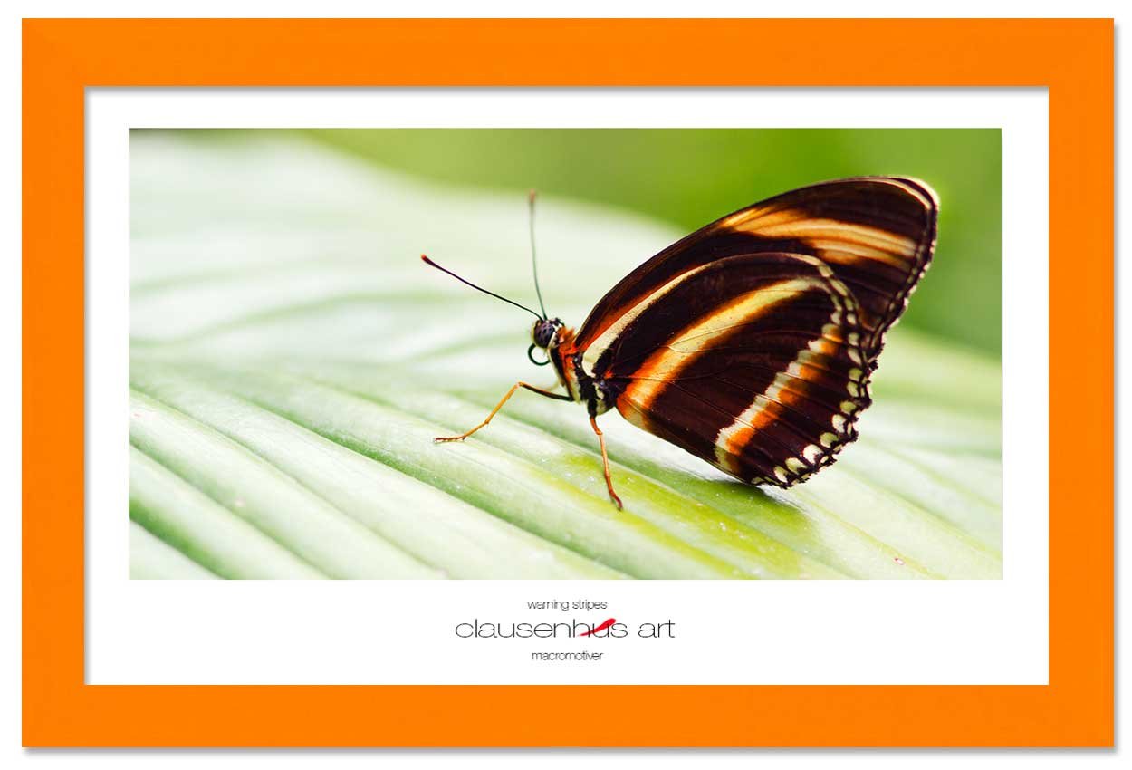 warning-stripes-copy.jpg